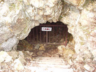 �����R�̔p�B�Ձu�Ēm�炸�B�v�B�^�Ăł��\�x�ɖ����Ȃ���C�������o�Ă���B