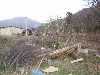 ���؂ɖ����ꂽ�R�`��ʍ��������h�w�z�[���ՁB