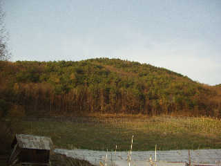 ��F���R�B���̏�ɓ�F����Ղ�����B