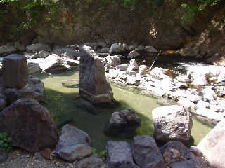 �啽����̘I�V���C