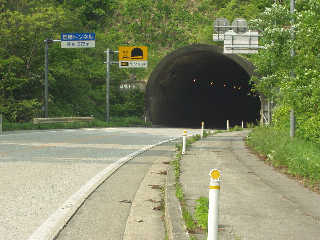 �Y���g���l���B������ƏH�c���ɓ���B