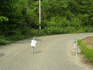 �B�`�F�[���ŕ�������Ă���B