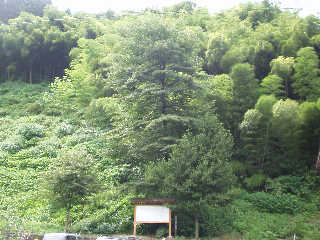 ���C�������̏�����B