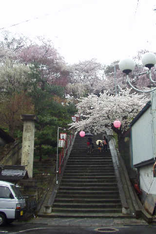 �ԓ�����X����G�X�q�R�����ɓo���_��B