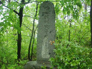 �H�B���畐�����̔�