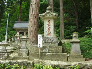 �T������ɂ���`���������E�q��̋��{��