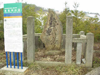 �G�X�q�R�̌����䂩�炳��ɓo�����R���i�H�t�_�Еt�߁j�ɂ���u�Չ_���v�̐ՁB