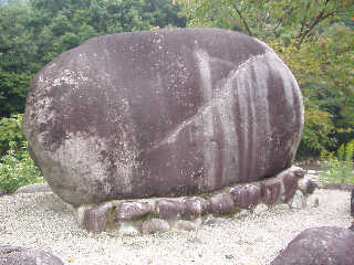 ���t�Β�̔�