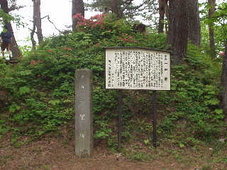 ���H�����̈ꗢ�ˁB