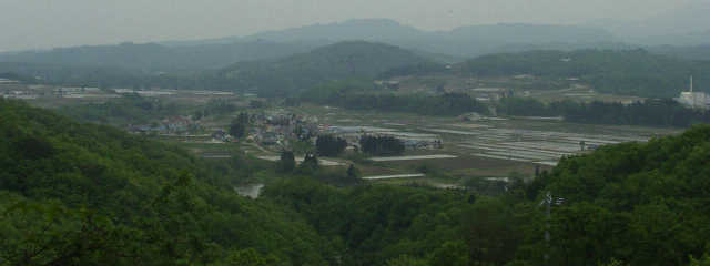 ���H��������]�ށB