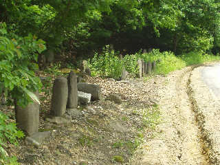 �K�����R�œ������l�X�̕�