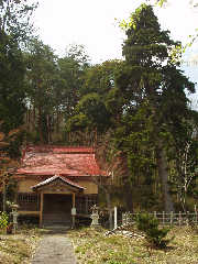 �㐙�j�����Č��������R��t���ƌՂ̔����B