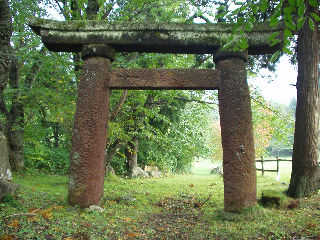 �O�S�V�̒���