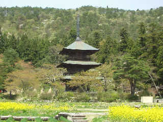 ���v�Ô����{�O�d��