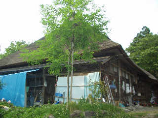 ���̏d�v�������u���|�ƏZ��v