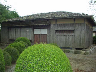 �V���g���m���Z�񂾐V�����~�B