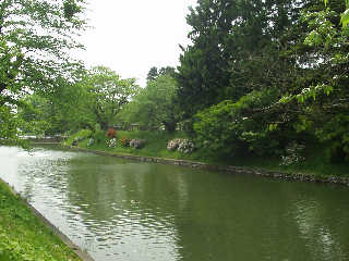 �V���隬�̂��x�B�V���隬�͌��ݍŏ�����Ƃ��Ďs���̌e���̏�ɂȂ��Ă���B