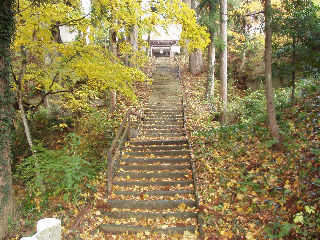 �s��ɂ��J�R���ꂽ�Ƃ����Ù��A�̖����B