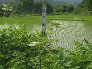 �������̊ېՁB