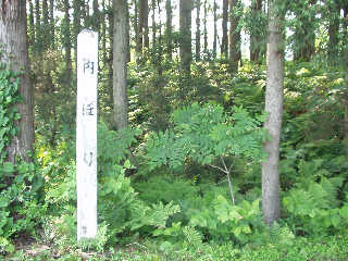 �{�ۓ����ɂ�����x�ՁB