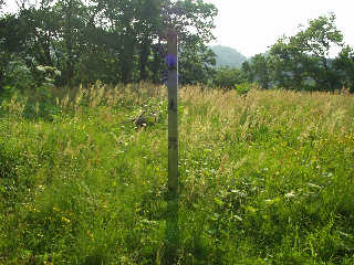 ������{�ېՁB