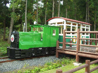 �̌��𗬂̐X�𑖂�g���b�R��ԁB