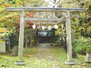 ������Ղɂ���V�R�_��