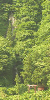 �ŏ��D����̖����u�����̑�v�B