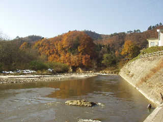 ����Ί݌����t�߂̔���B�E��̌��������쑑�B�Ί݂ɂ͌����̐X���L����B