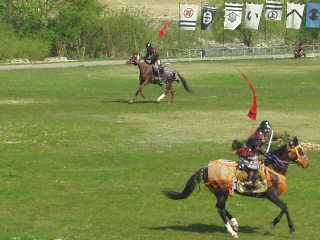 ���c�R�n���������삯������B