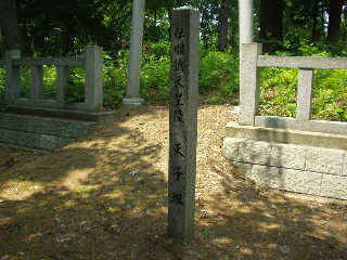 ������c�̗˕�Ƃ����u�V�q�ˁv