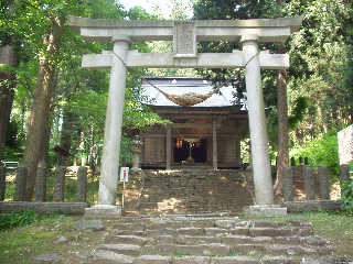 ���z�ق̑����Ɍ��Ă�ꂽ���z�����{�B