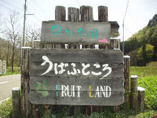 �W���i���΂ӂƂ���j�ɂ���ʎ����u�ʕ��y�����΂ӂƂ���v�̊ŔB�Ǘ��l�̐e�ʁB