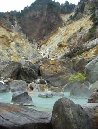 �W������̘I�V���C