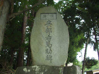 �F���Ћ����̈����E�n���j�g������B