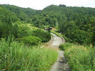 �іL�Ə����̋��A�F�Ó��B���͋��F�Ãg���l���B