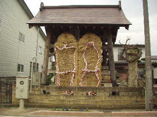 �V��@�����@����@���Ε��̉��ɗ��Ă�����ꂽ���炶�B