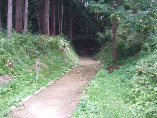 ���c��������A��x�B