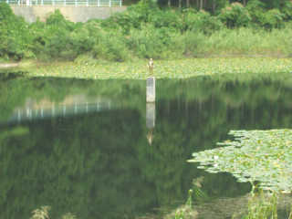 ���c���闠��̏t�����B�^�񒆂ɔߌ��̃q���C���u�퐶���v�����B