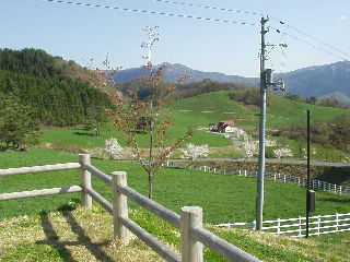 �̂ǂ��ȖF�����q��̕��i�B