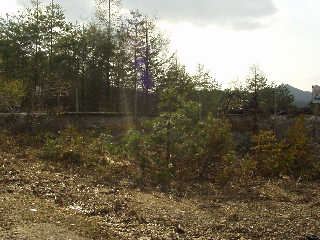 �ԎR�̋g��z�R��